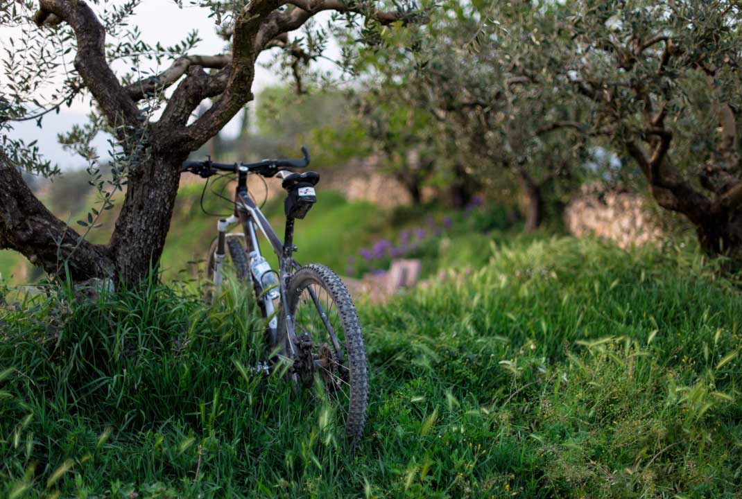 Faire du vélo en Drôme Provençale