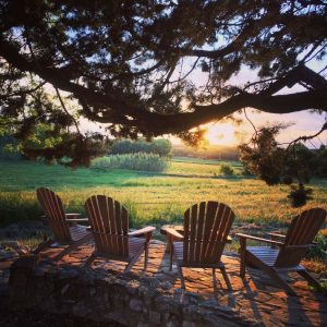 terrasse avec vue